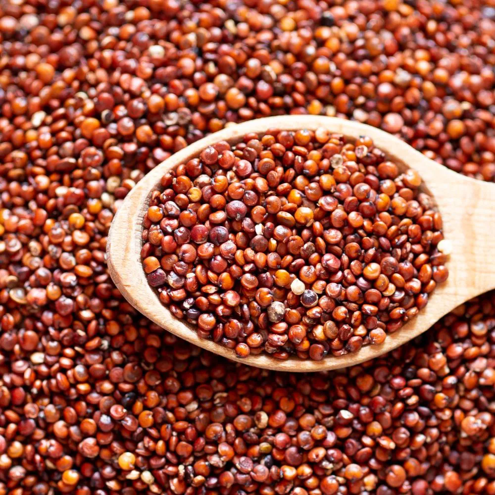 QUINOA VERMELHA  EM GRÃOS 100g
